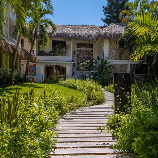 Sendero entre jardines del resort