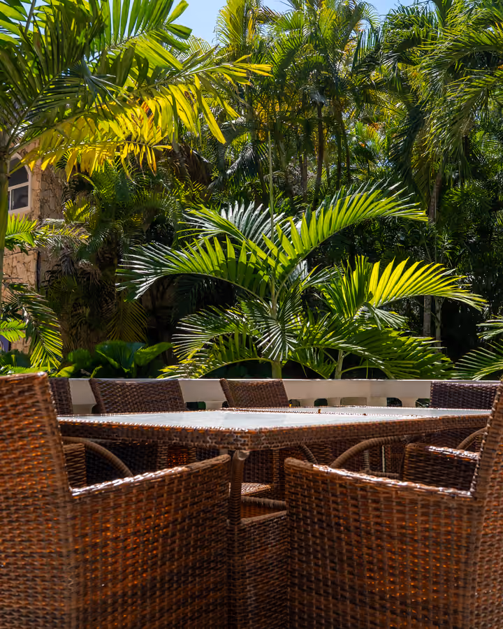 Mesa en la terraza rodeada de palmeras